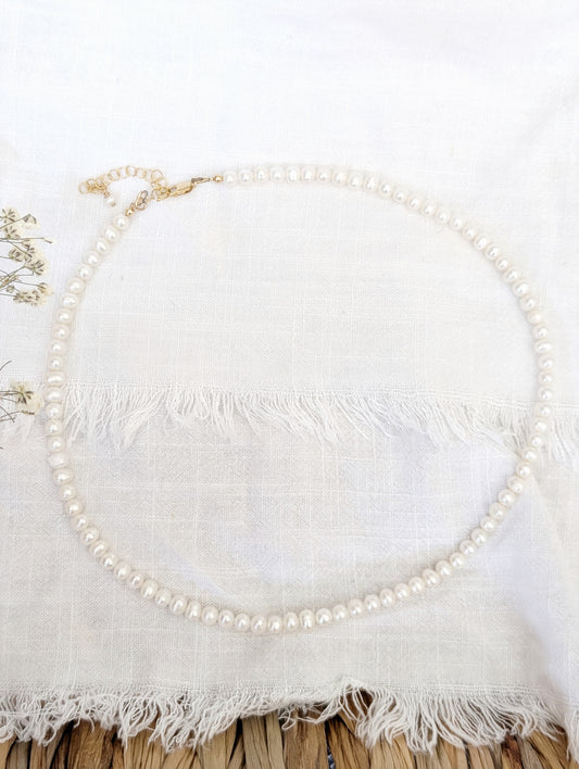 Dainty Pearl Necklace