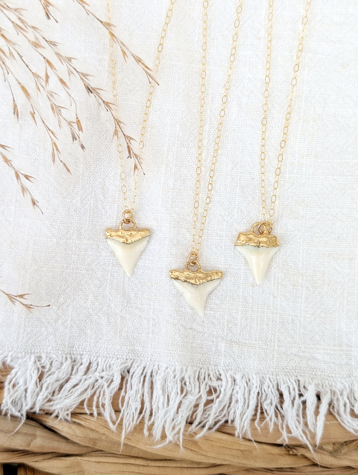 14k gold dipped shark tooth necklace