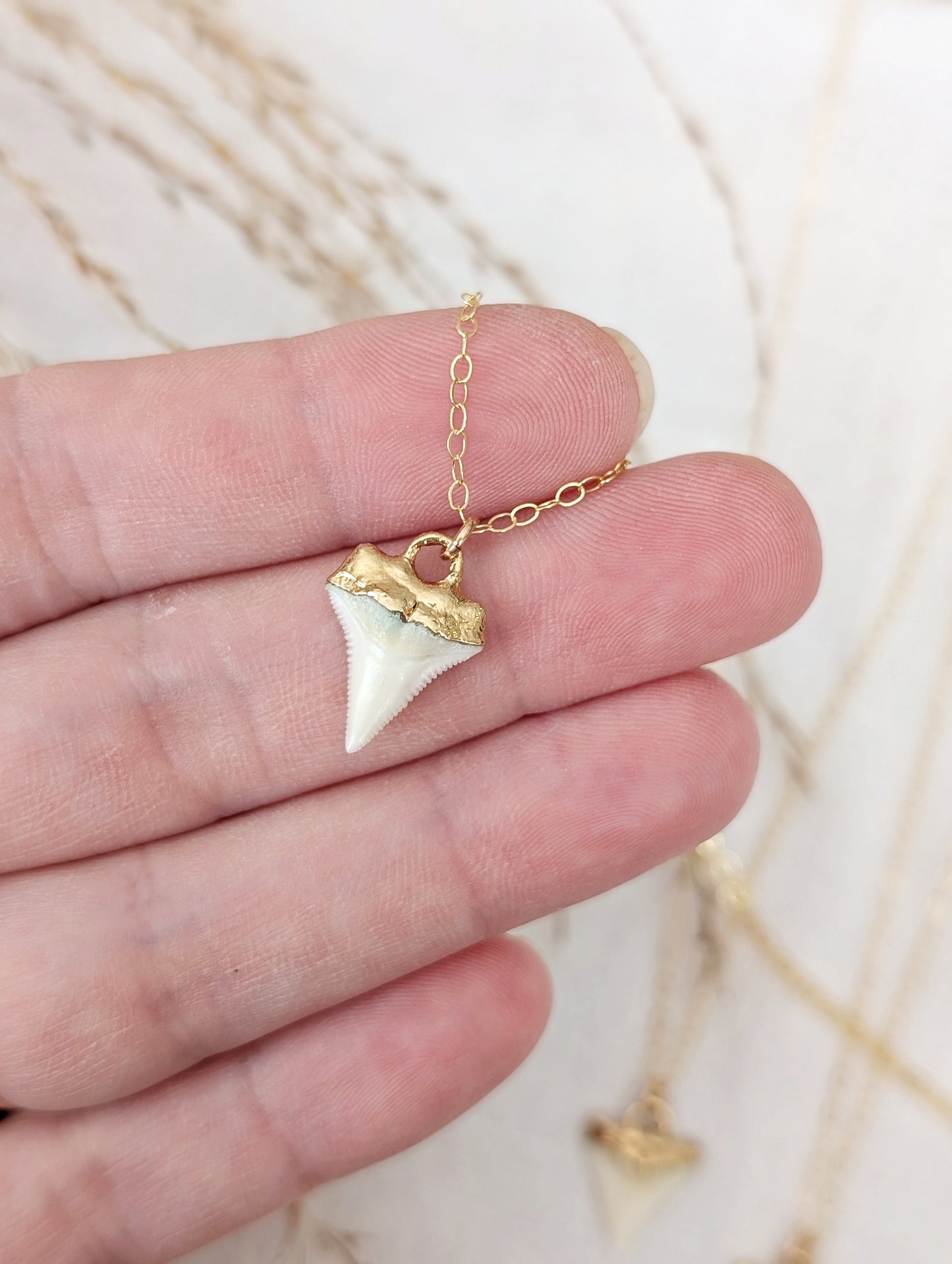 14k gold dipped shark tooth necklace