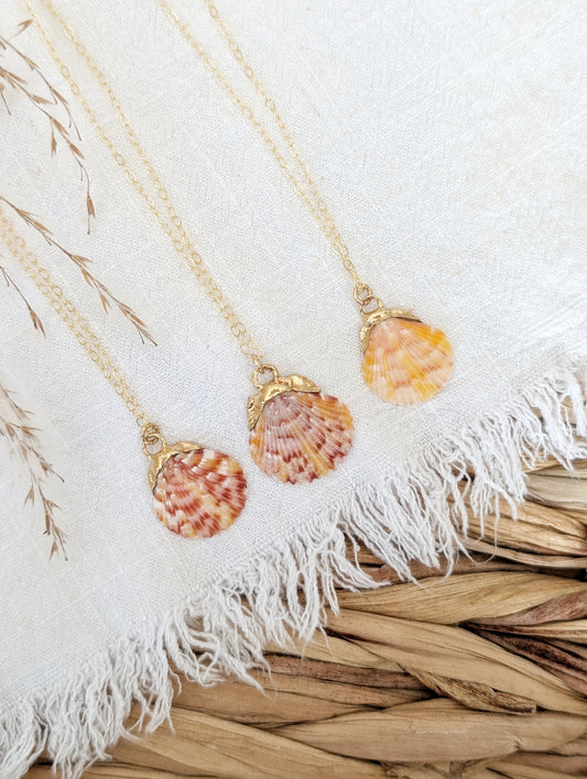 14k gold dipped calico scallop shell necklace