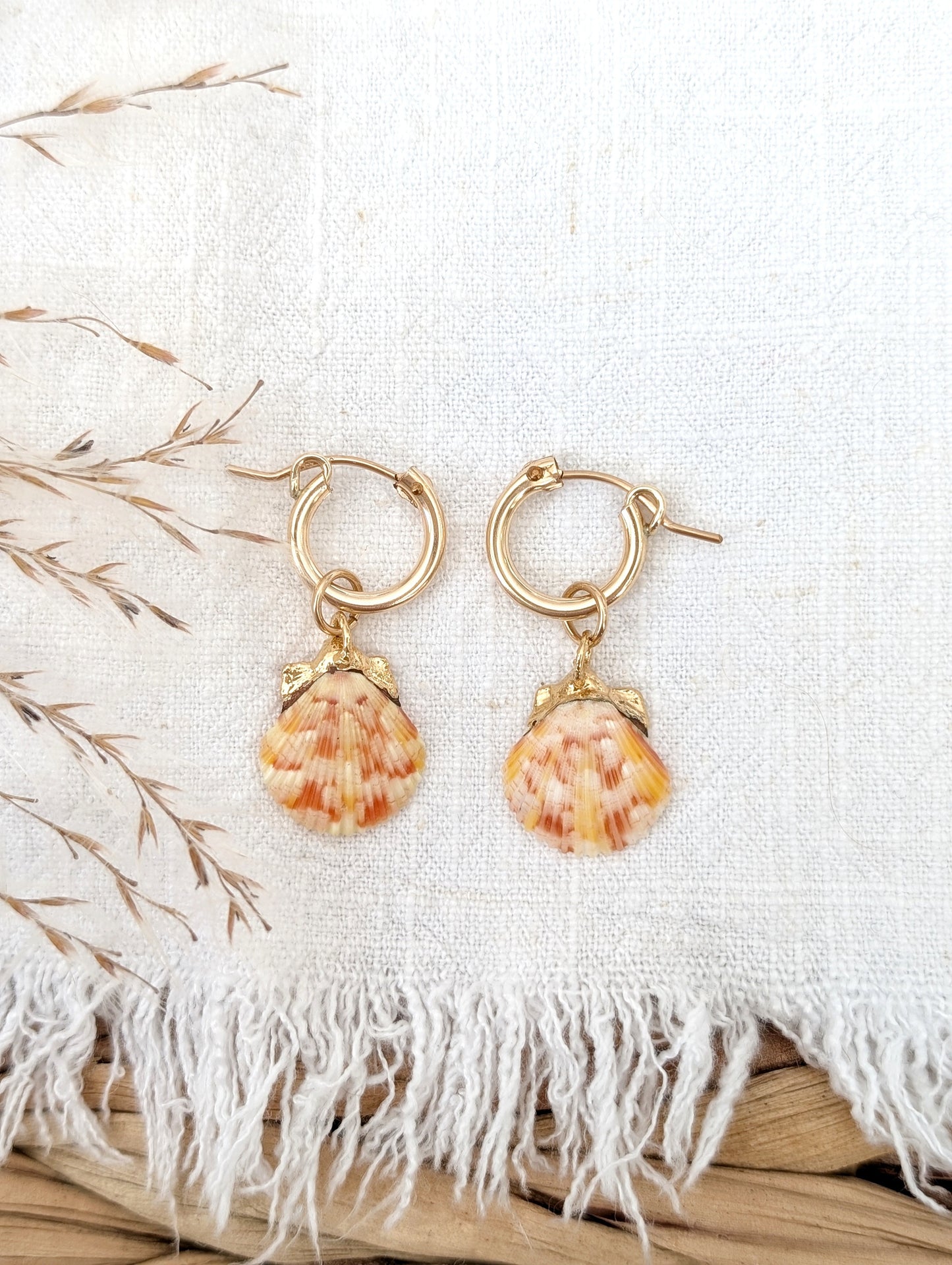 14k gold dipped calico scallop shell hoops