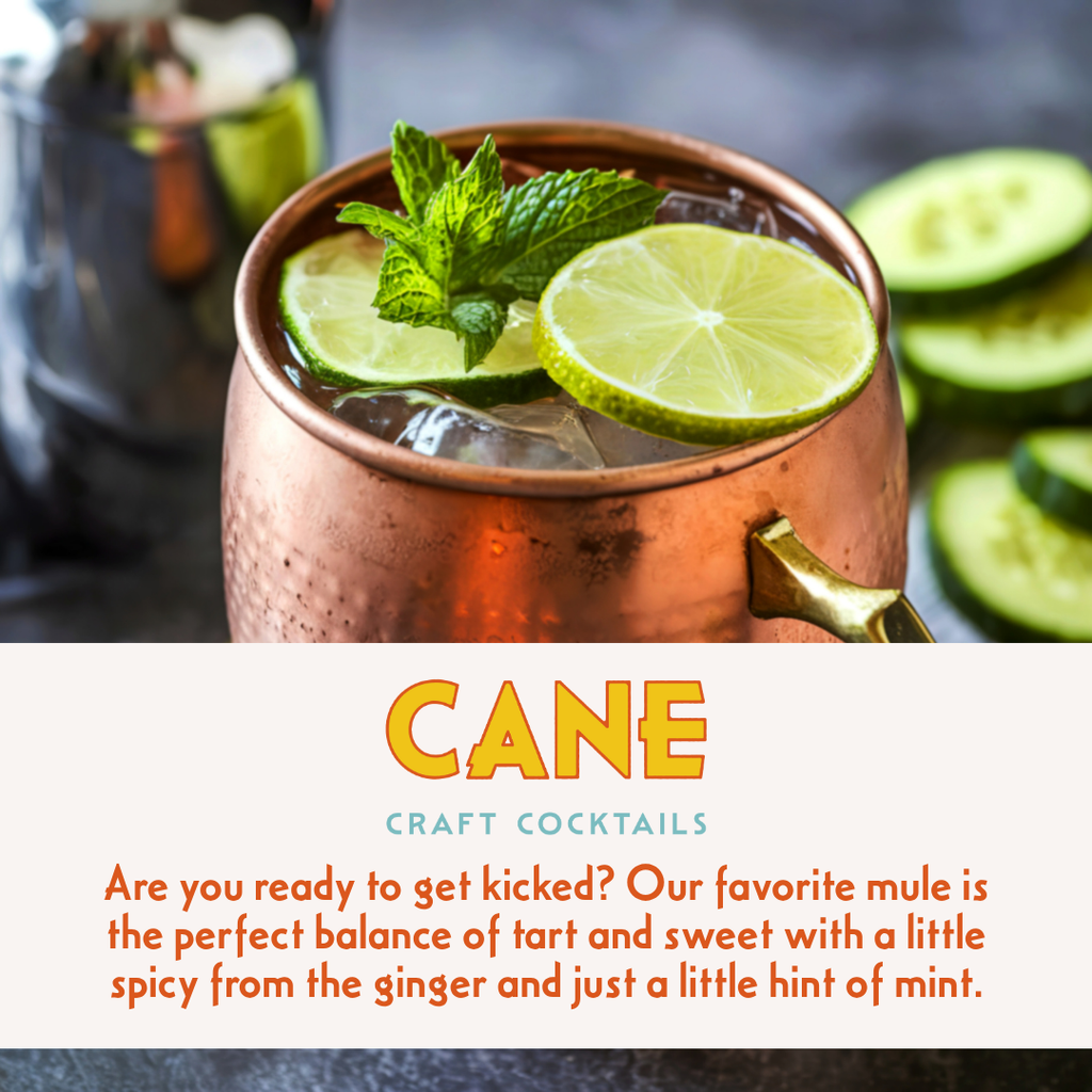 Blueberry Mint Mule