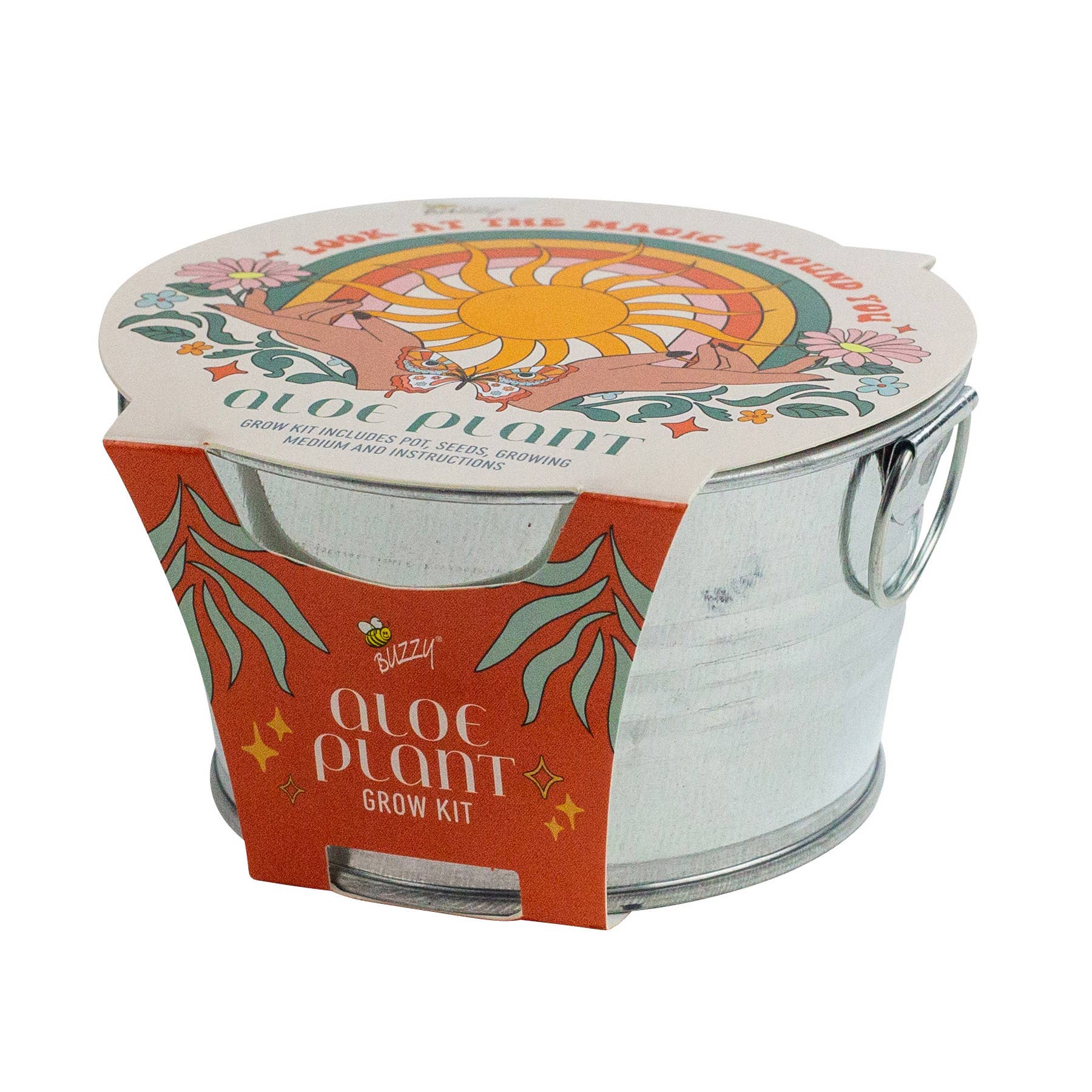 Mini Galvanized Basin Aloe Grow Kit – Indoor Plant Gift