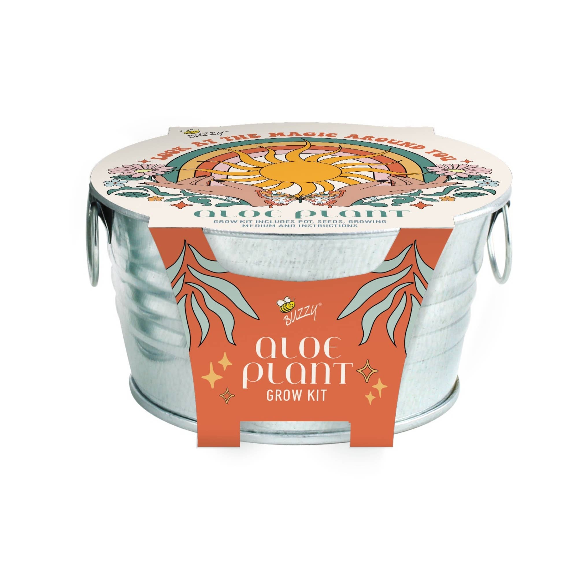 Mini Galvanized Basin Aloe Grow Kit – Indoor Plant Gift