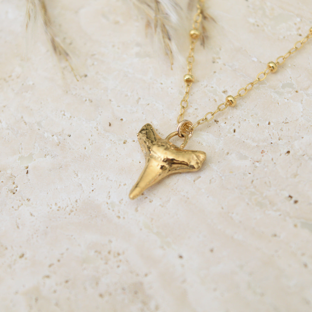 The Shark Tooth Necklace