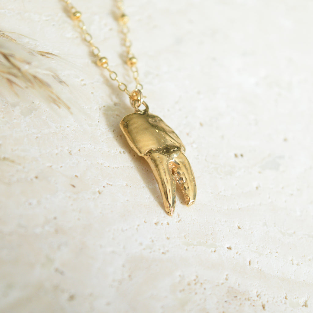The Crab Claw Necklace