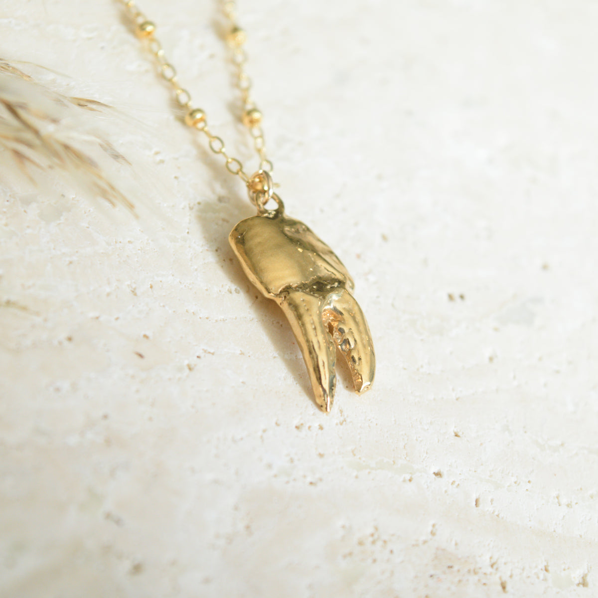 The Crab Claw Necklace