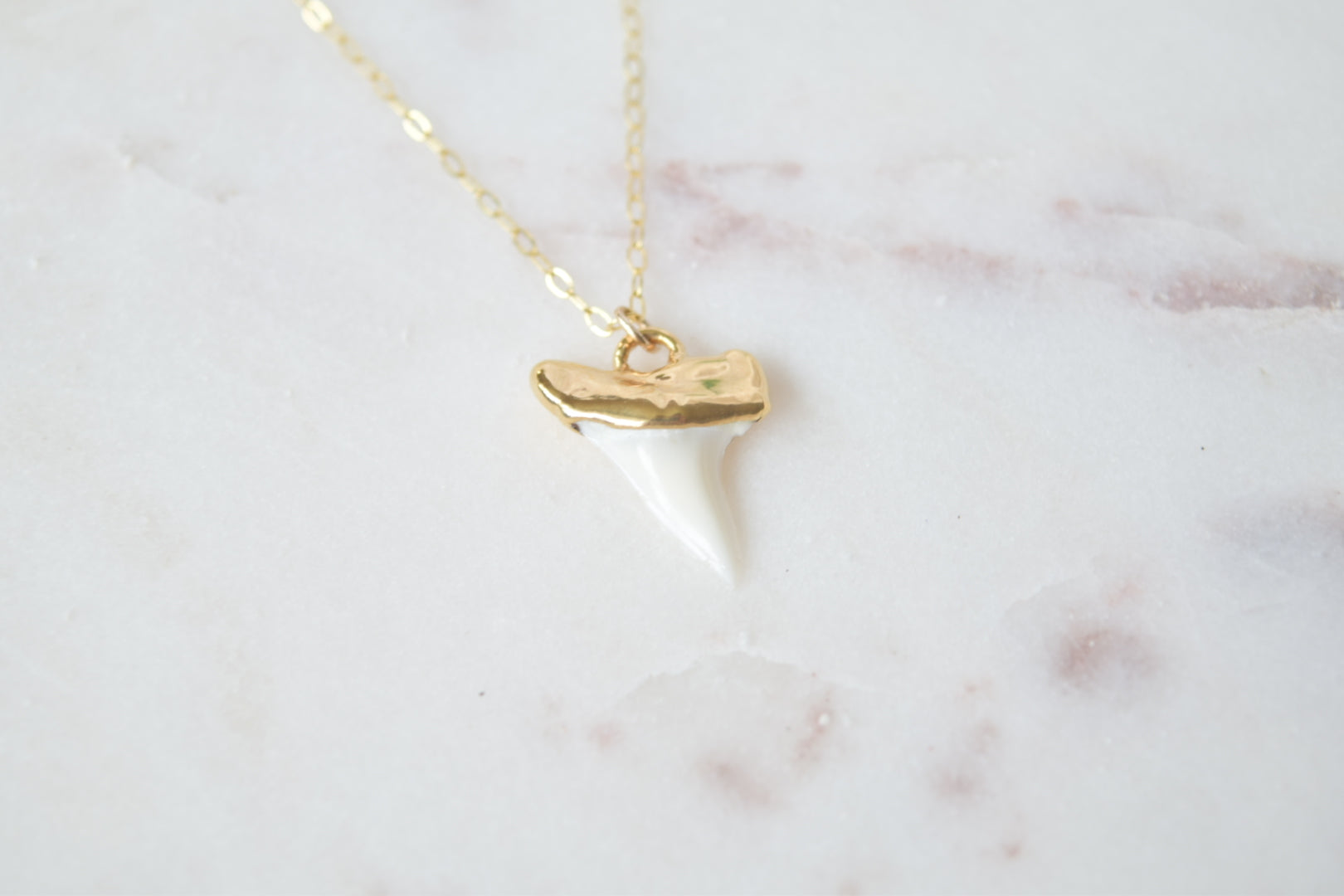 Gold Dipped Shark Tooth Necklace