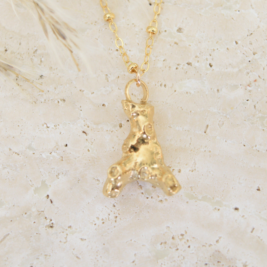 The Coral Necklace