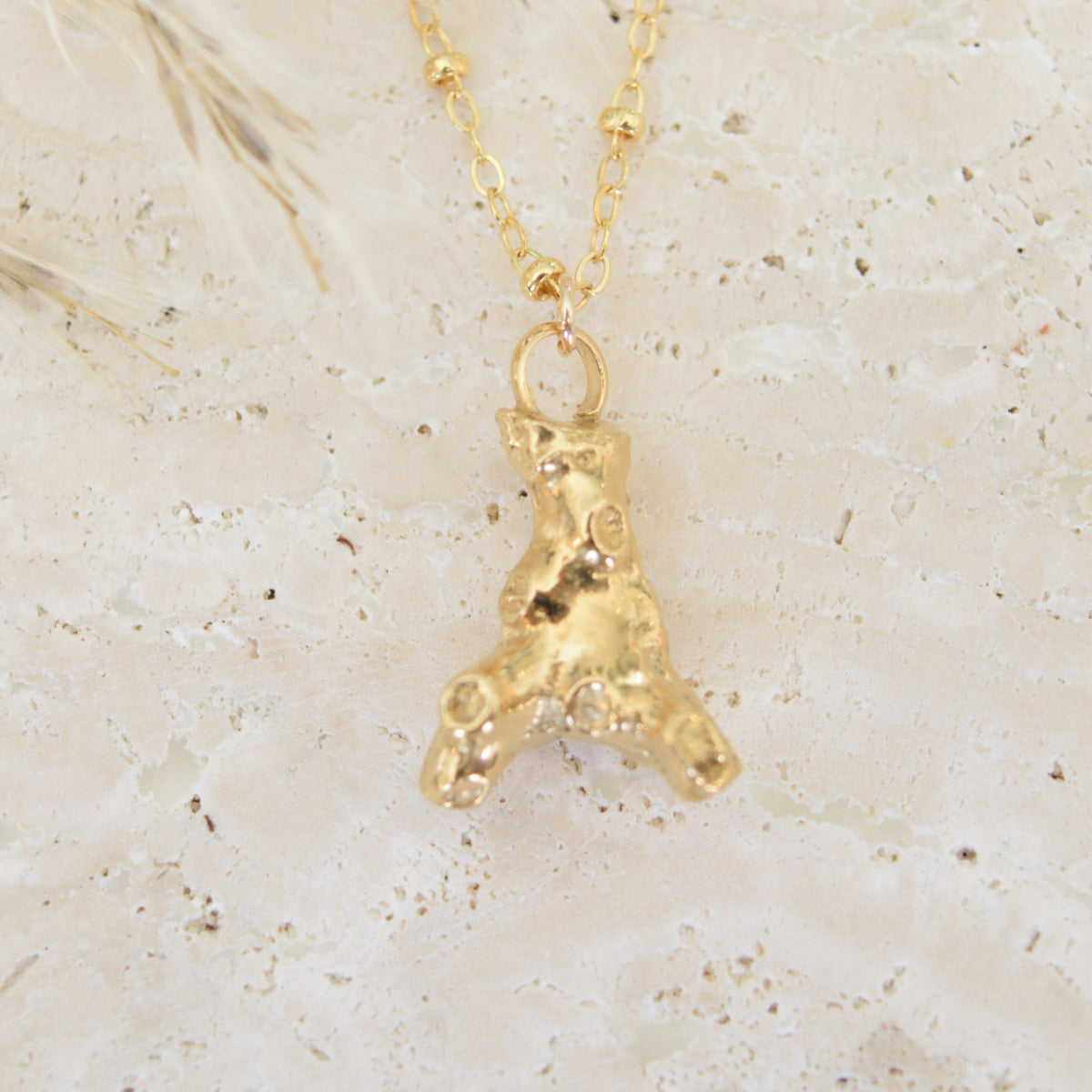 The Coral Necklace