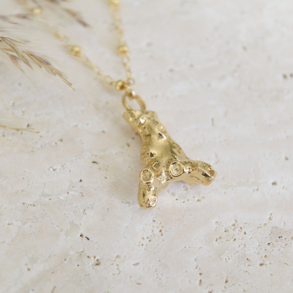 The Coral Necklace