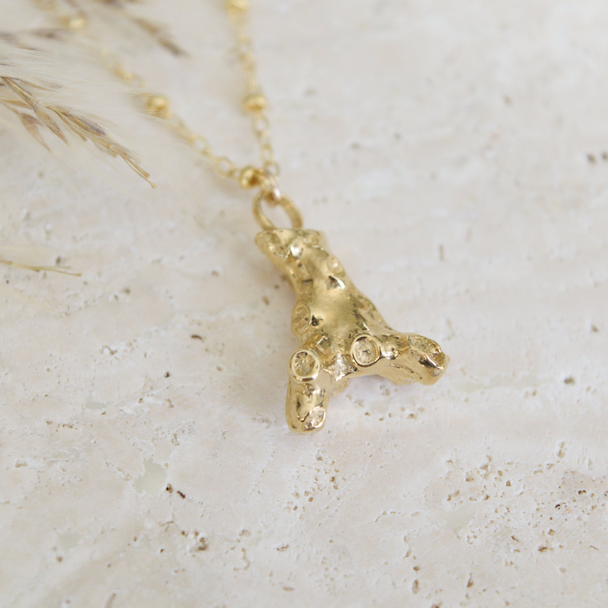 The Coral Necklace