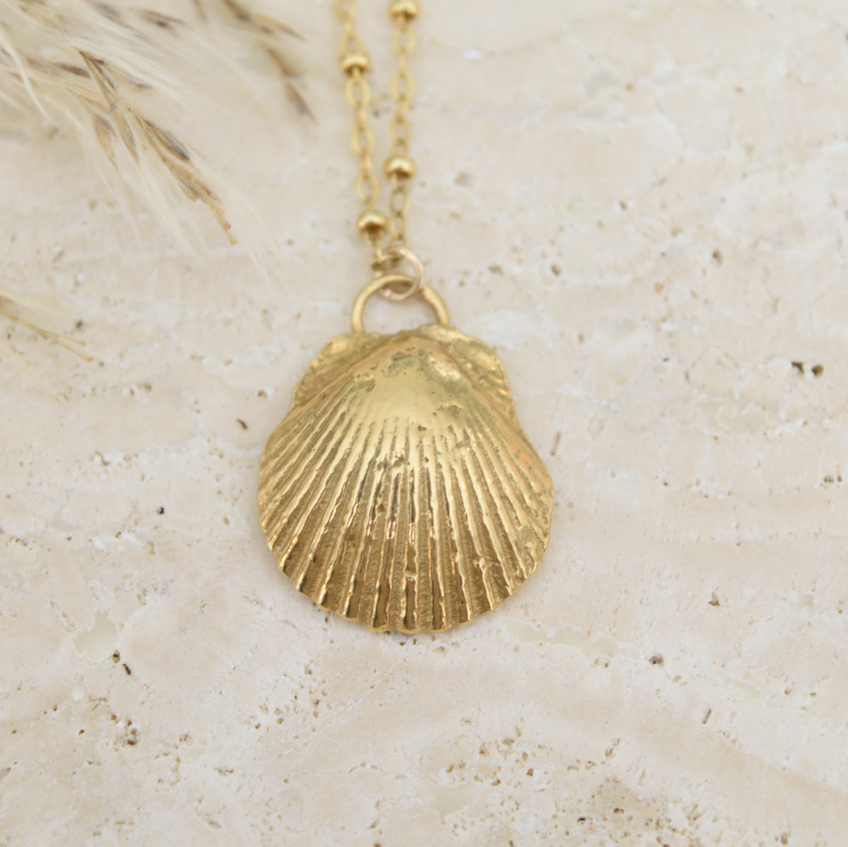 The Scallop Shell Necklace