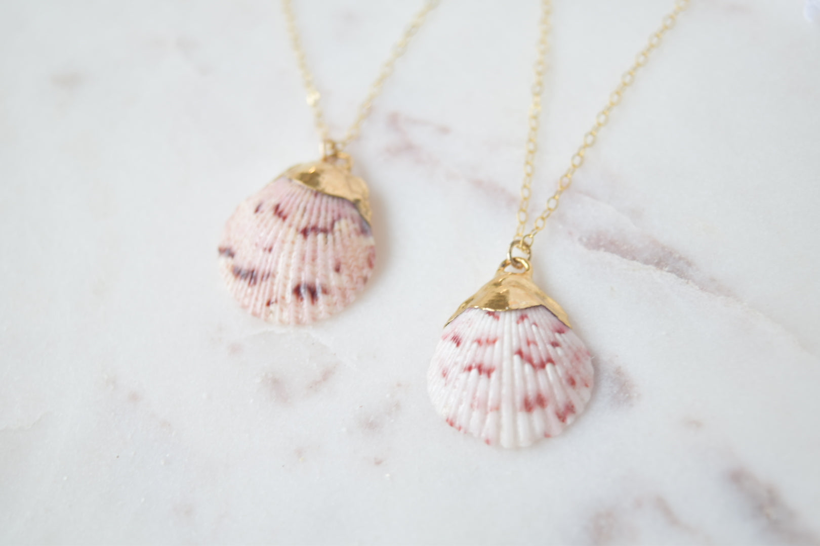 Gold Dipped Scallop Necklace