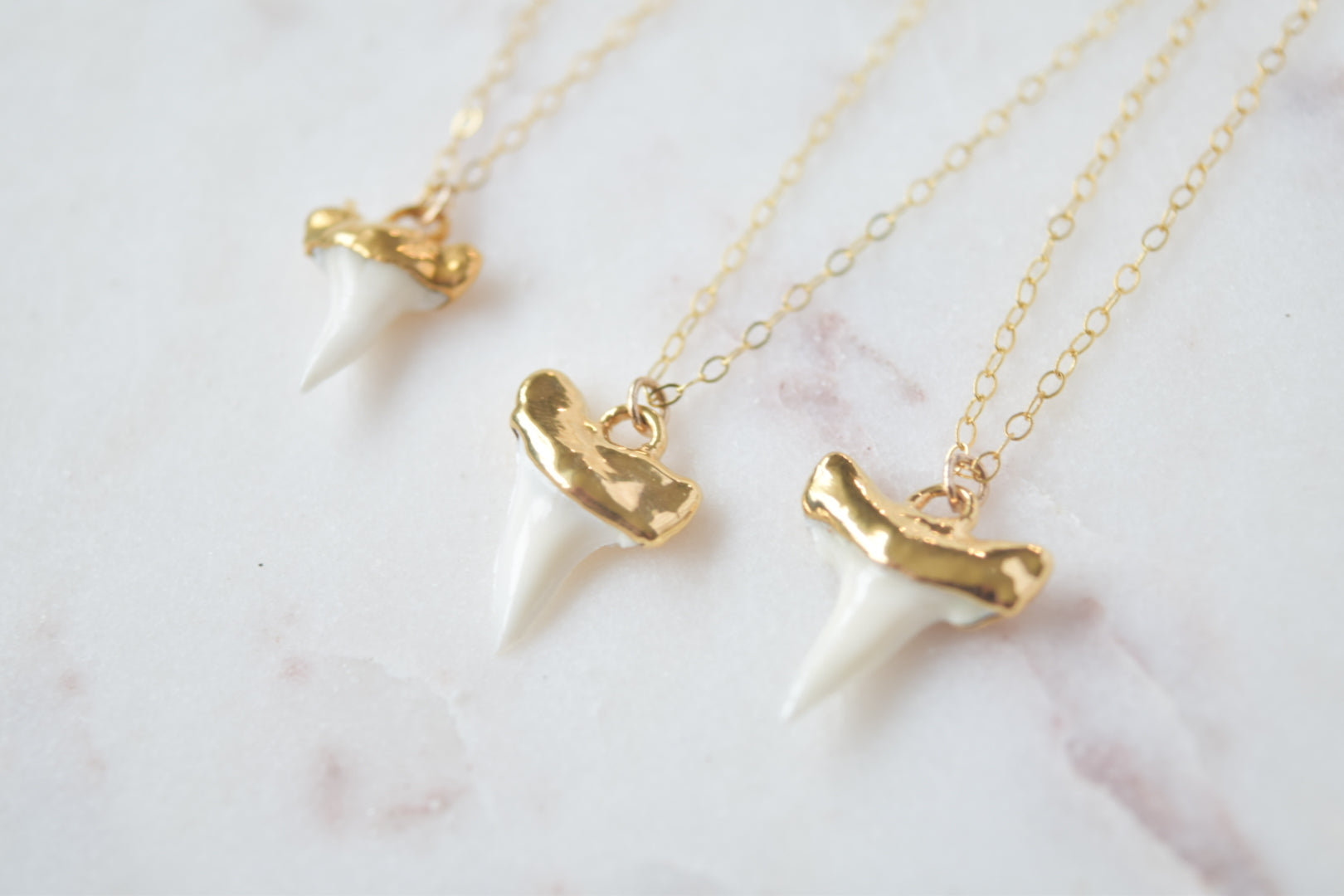 Gold Dipped Shark Tooth Necklace