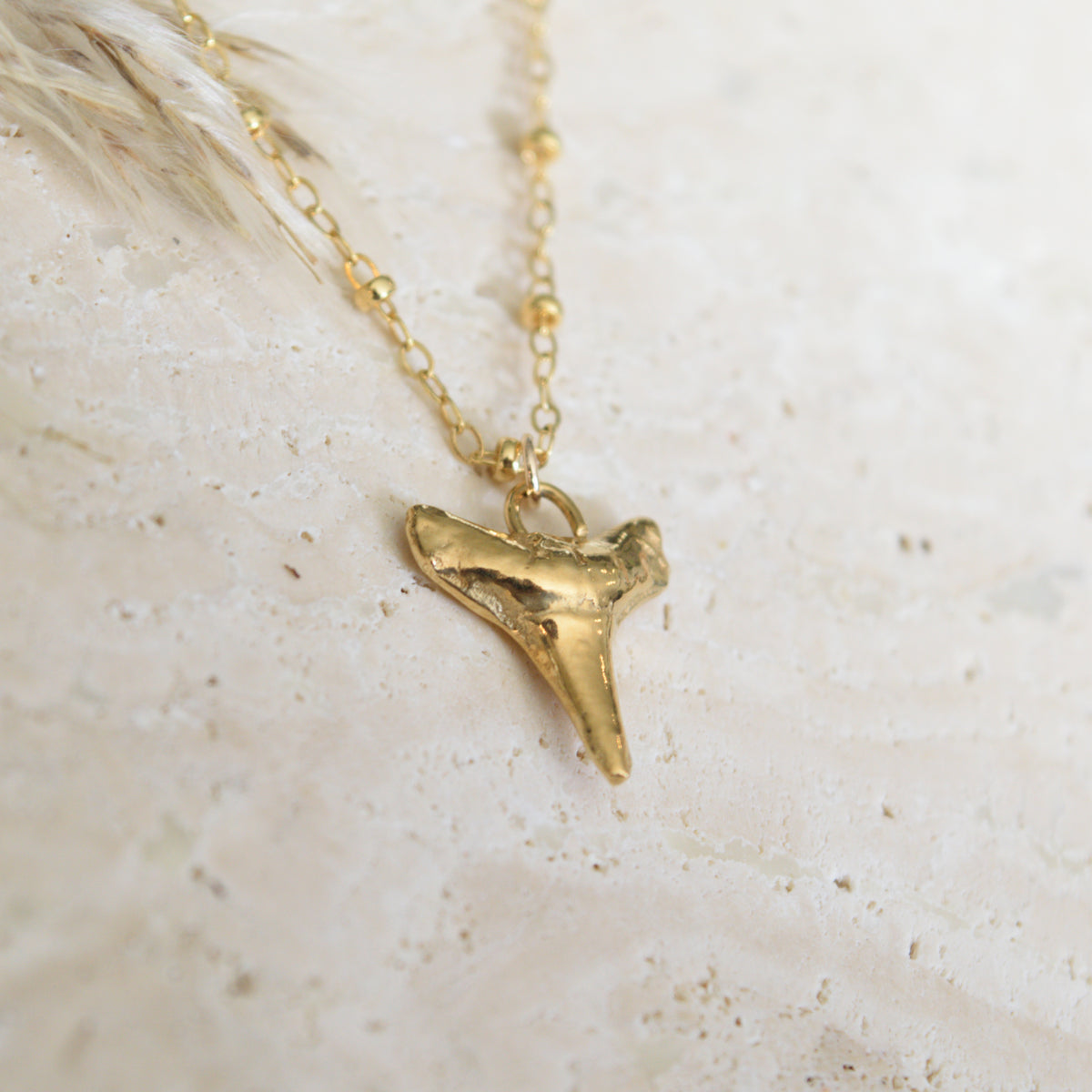 The Shark Tooth Necklace
