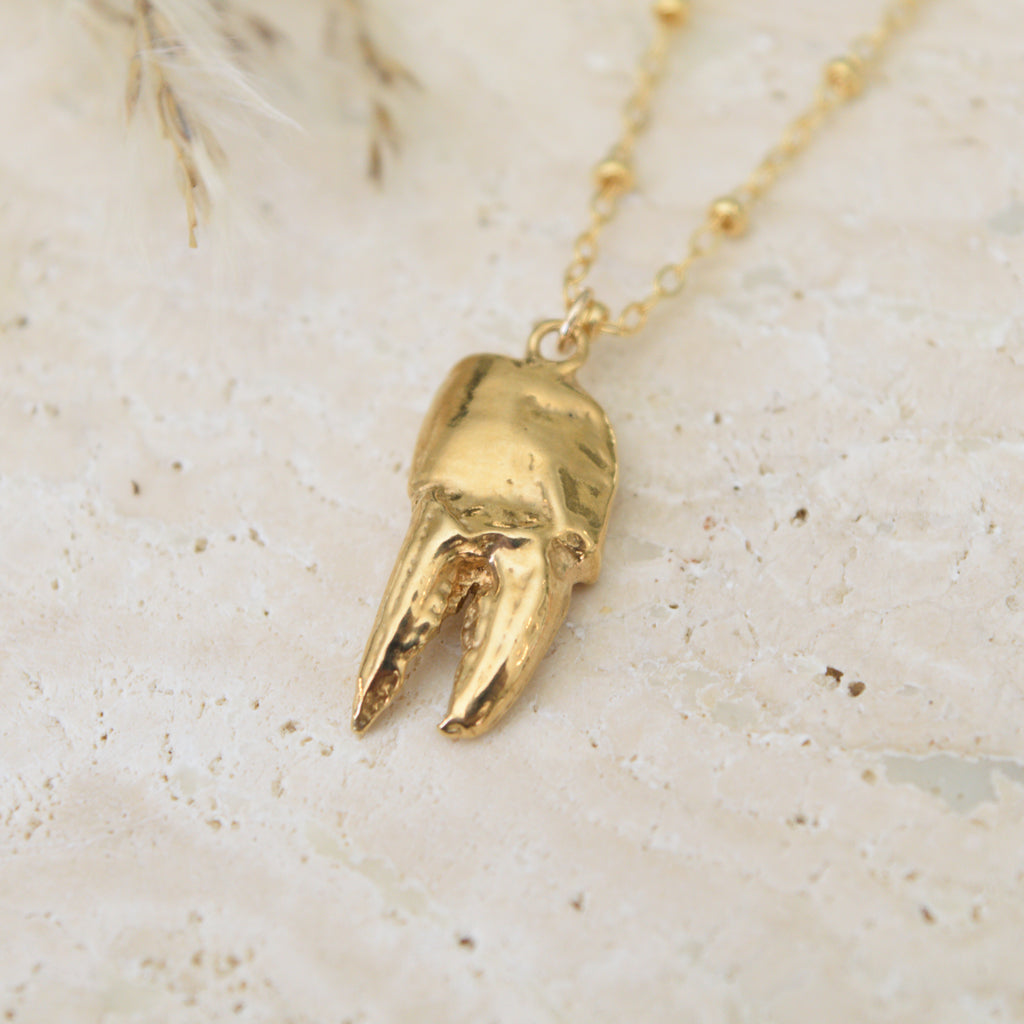 The Crab Claw Necklace