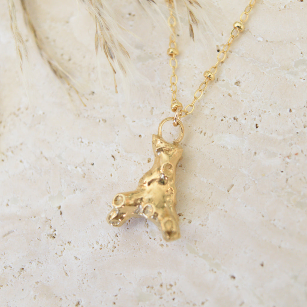The Coral Necklace