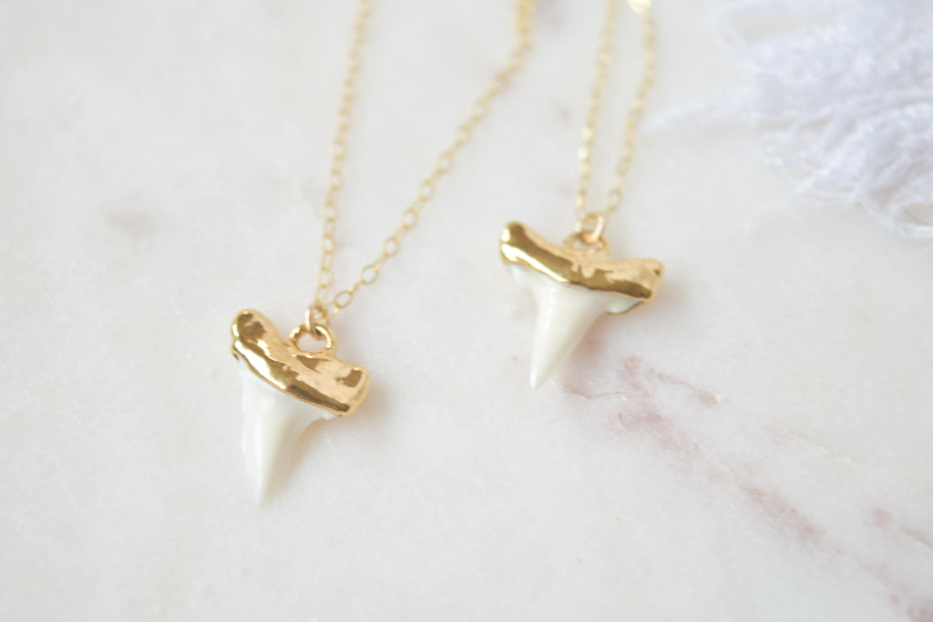 Gold Dipped Shark Tooth Necklace