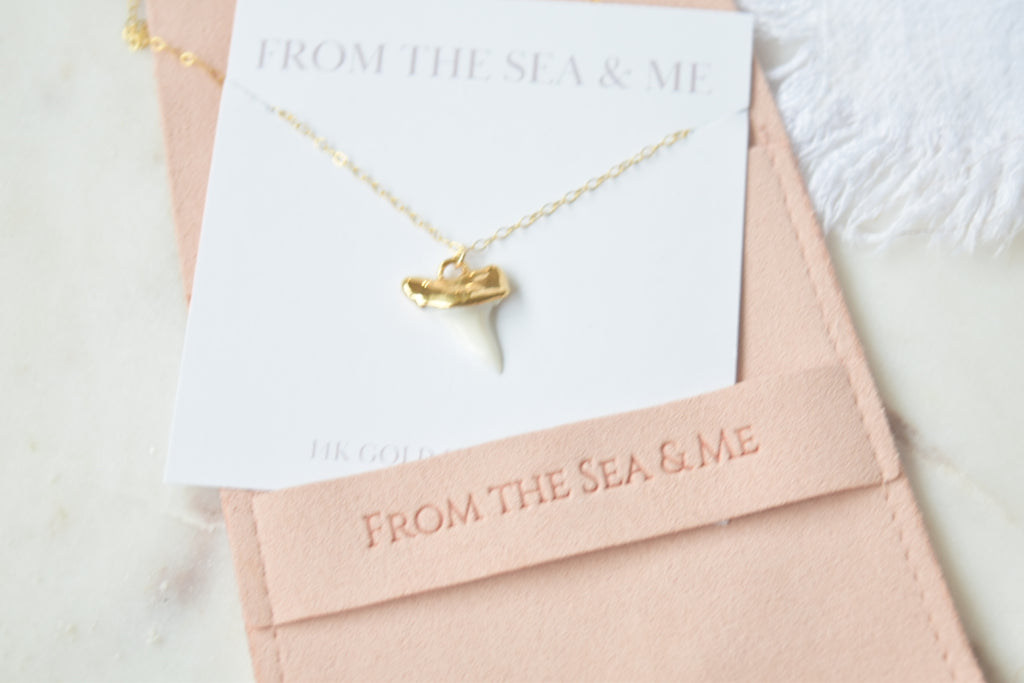 Gold Dipped Shark Tooth Necklace