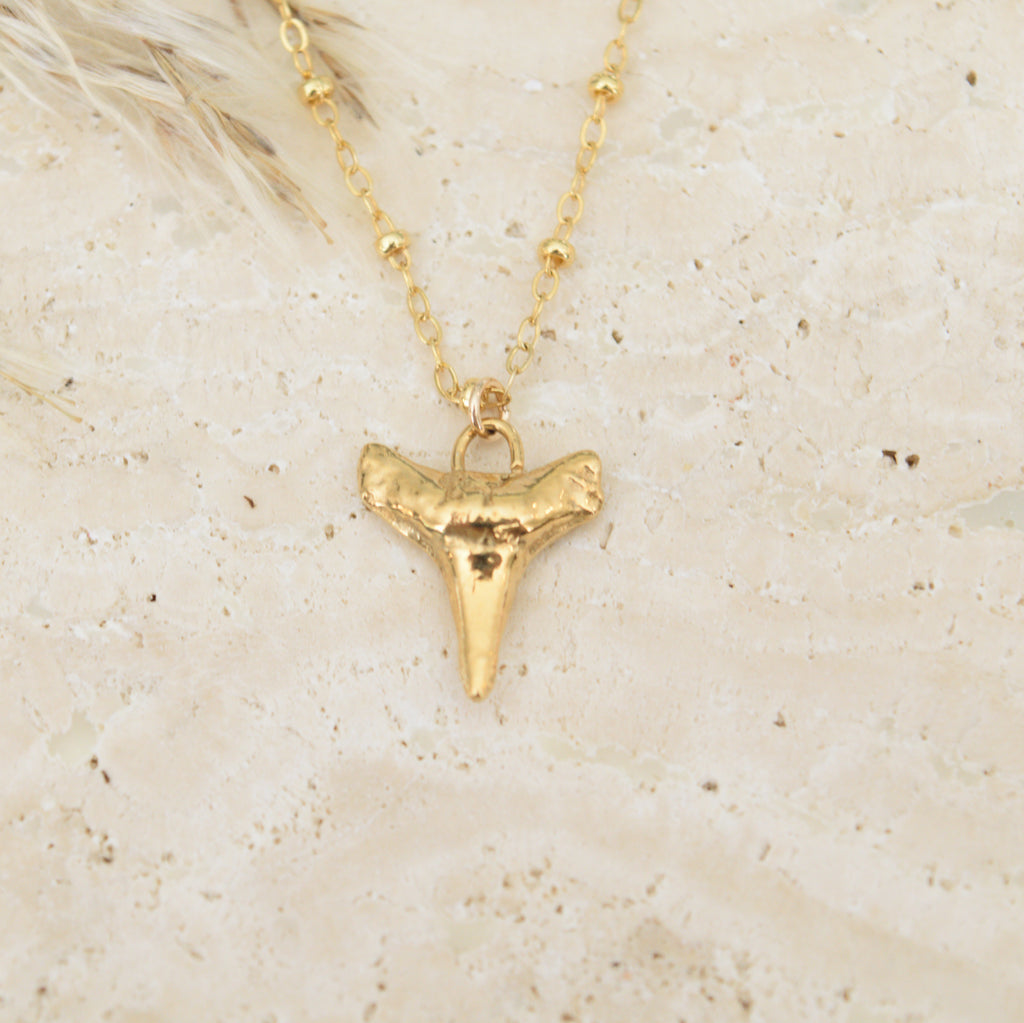 The Shark Tooth Necklace